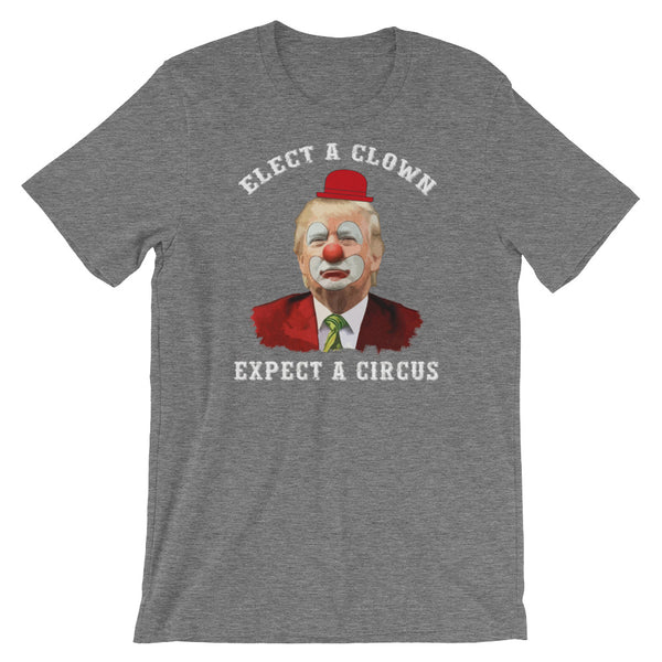 Elect A Clown...Expect A Circus, , LiberalDefinition