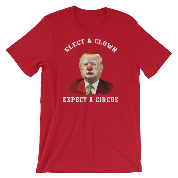 Elect A Clown...Expect A Circus, , LiberalDefinition
