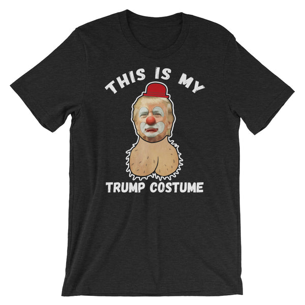 My Trump Costume, , LiberalDefinition