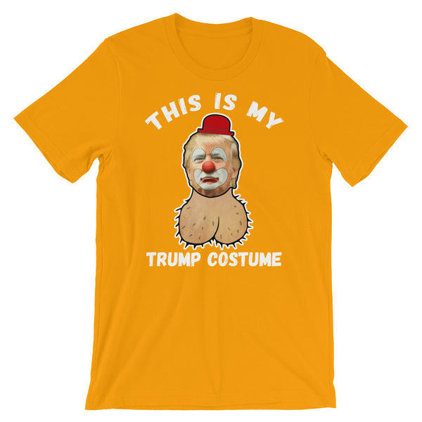 My Trump Costume, , LiberalDefinition