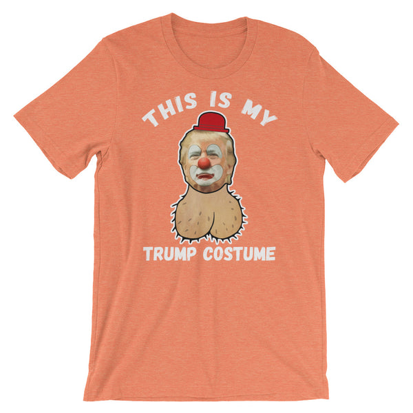 My Trump Costume, , LiberalDefinition