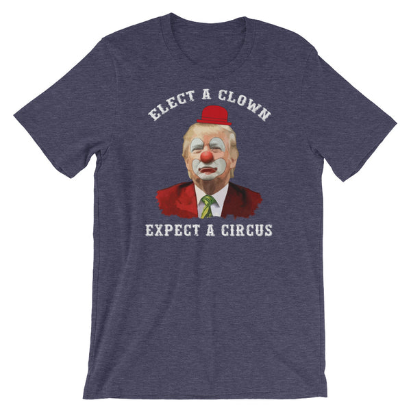 Elect A Clown...Expect A Circus, , LiberalDefinition