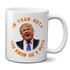 In Your Guts, You KNOW He's Nuts Anti-Trump Mug