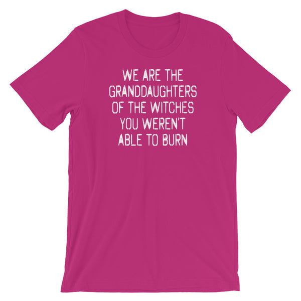 We Are The Granddaughters Of The Witches You Weren't Able To Burn T-Shirt